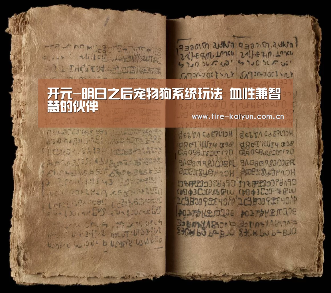 开云体育直播
