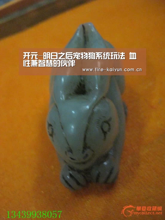 开云体育直播